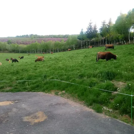 Casa Quiroga Lamas do Biduedo