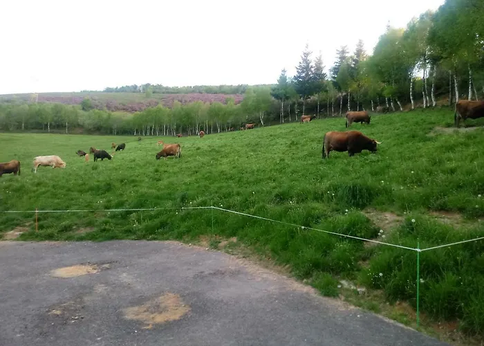 Casa Quiroga Lamas do Biduedo